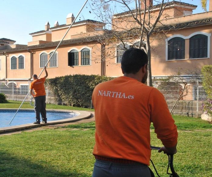 Mantenimiento Piscinas: Nuestros servicios de Nartha Serveis