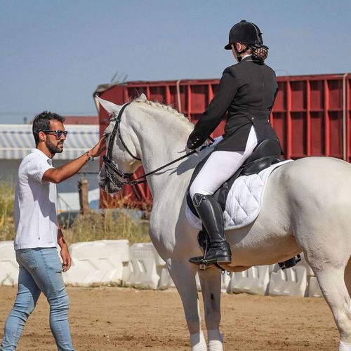 Doma de caballos en Griñón | Fran Arenas Doma Clásica