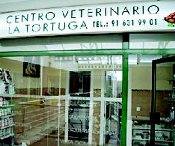 Vacunación de perros en Las Rozas  | Centro Veterinario La Tortuga