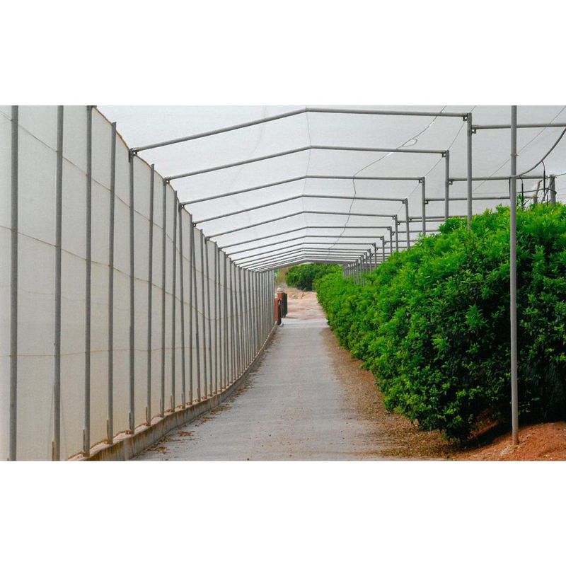 Túneles para caminos: Invernaderos de Invernaderos Campos