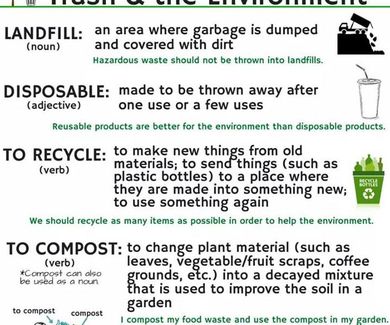 Vocabulary: trash and environment