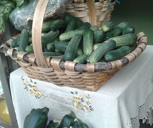 productos de la huerta 2017