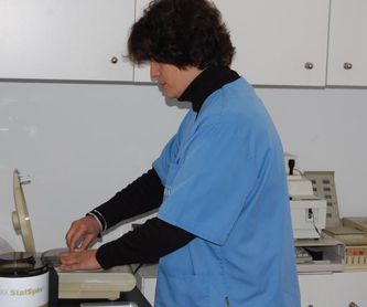 CIRUGÍA: SERVICIOS  de C. Veterinario Triana