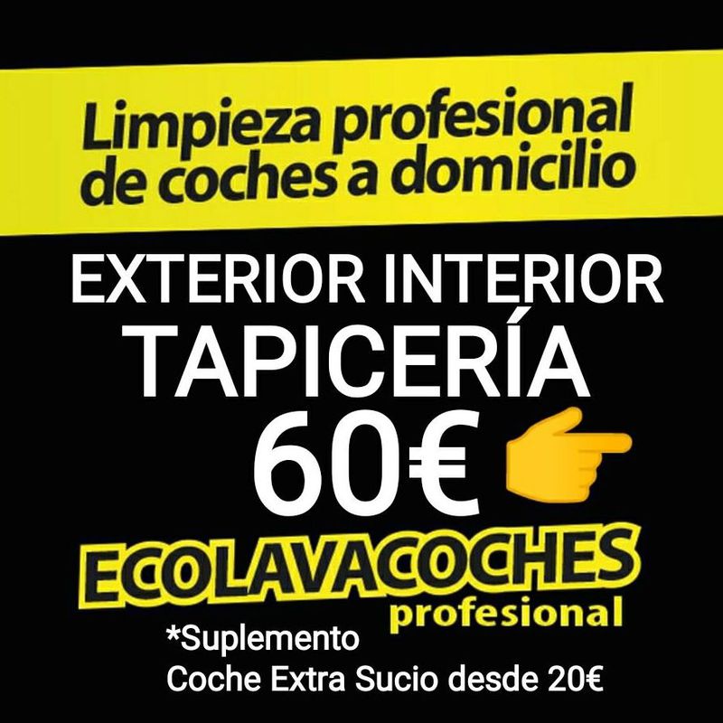 ECOLAVACOCHES PROFESIONAL