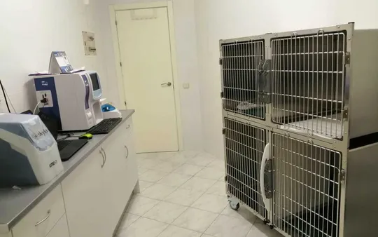 Imagen 1 de la galería