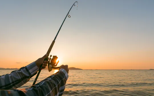 Imagen 4 de la galería