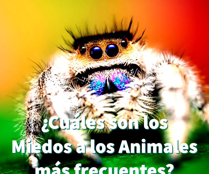 Miedo a animales }}
