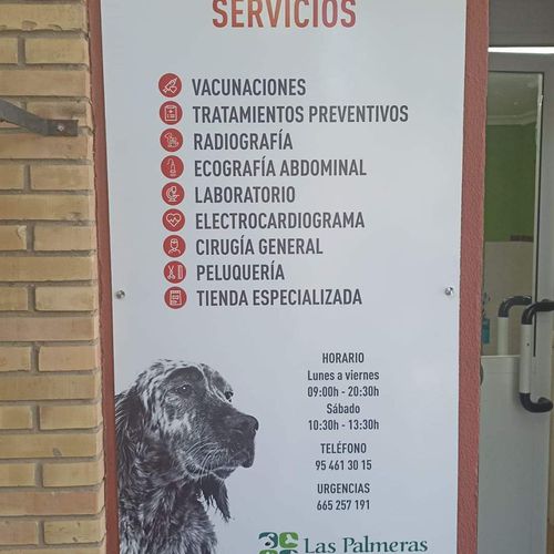 Medicina veterinaria y zootecnia en Sevilla