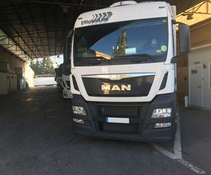 Empresa de transporte frigorífico en Murcia