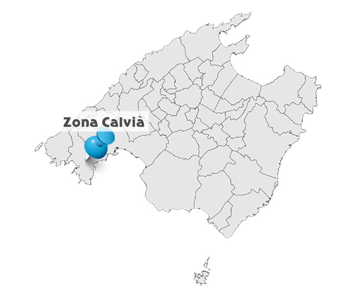 Zona Calvià: Servicios de Transportes Reynés