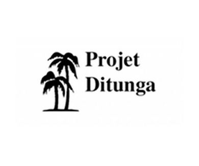 Proyecto Ditunga 2020