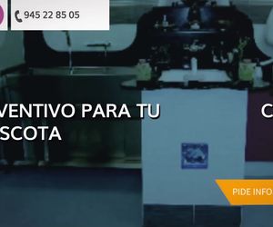 Clínicas veterinarias en Vitoria | Arabacan