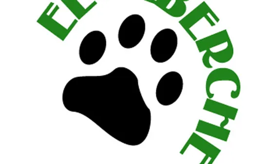 Imagen 1 de la galería