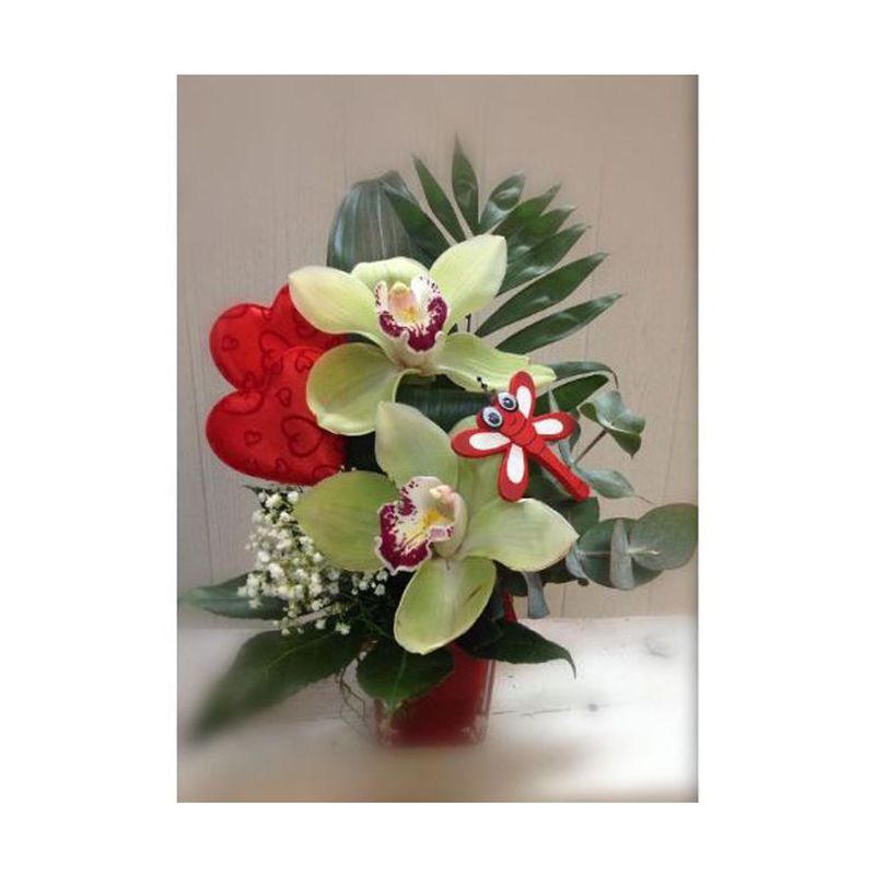 Orquídeas: Catálogo de Flores Maranta