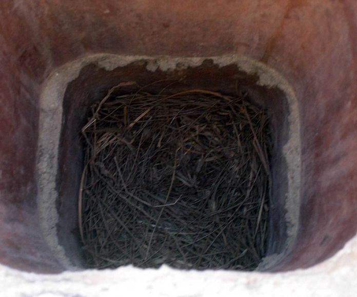 Visualización de nido.