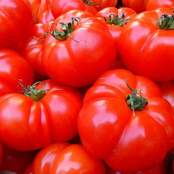 Las propiedades del tomate