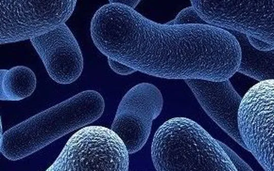 Control de legionella Albacete