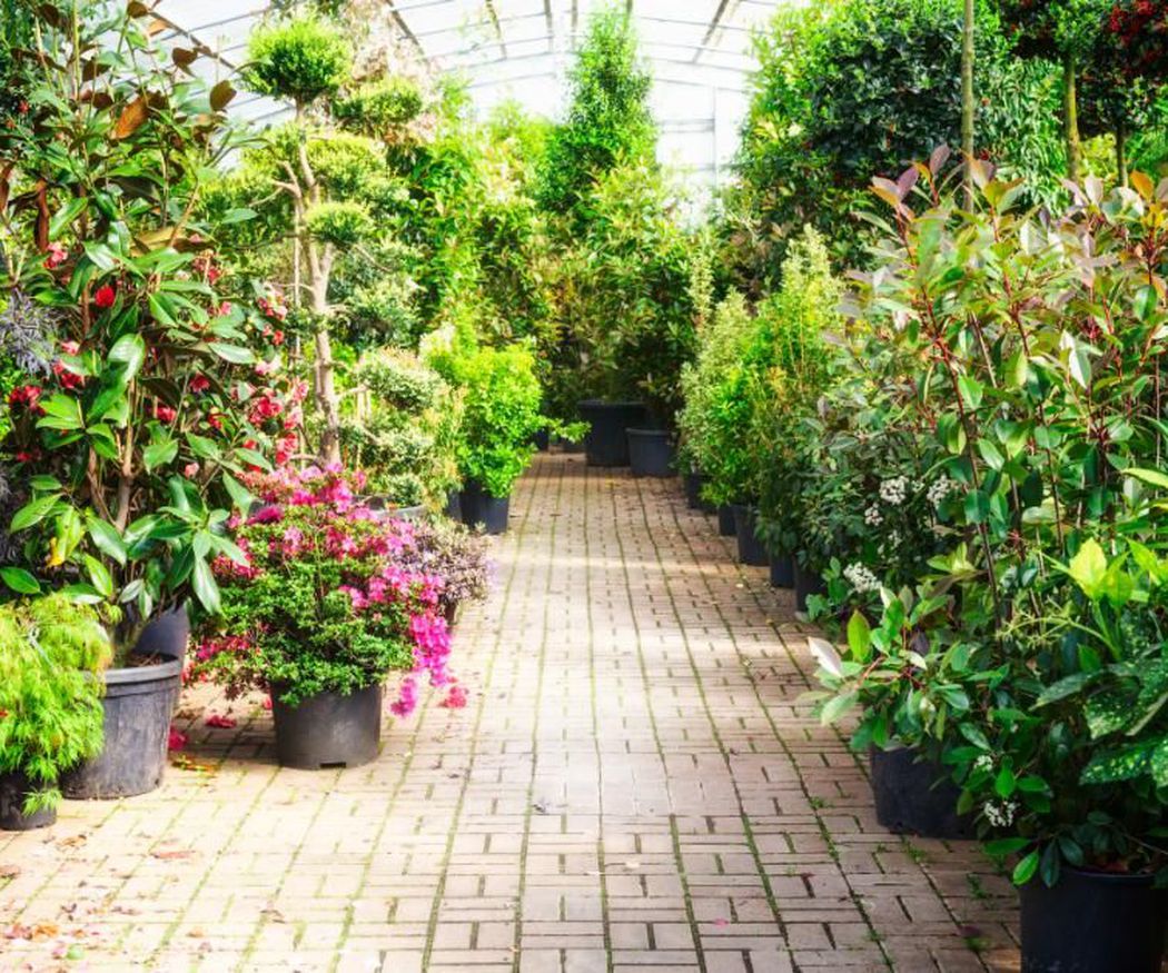 Tareas en el jardín