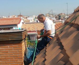 Tratamiento de Palomas, colocación de púas 