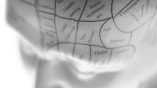 Imagen de Servicios - La Psicología Clínica