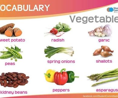 Vocabulary:Vegetables