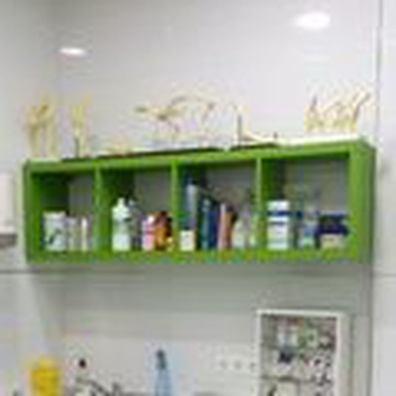 Laboratorio propio de análisis clínicos: Servicios de Clínica Veterinaria Llíria