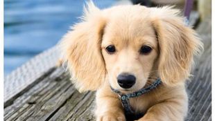 Imagen de Servicios - Cardiología