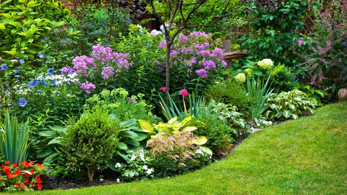 Diseño y mantenimiento de jardines en Torres de Segre