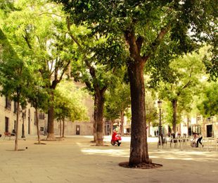 ¿Qué es la poda excepcional?