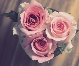 Envía alegría: Sorprende con flores en cumpleaños, aniversarios y más