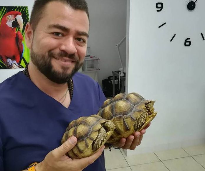 Experto en animales exóticos: Servicios de Clinica Veterinaria Exotia Santa Ursula