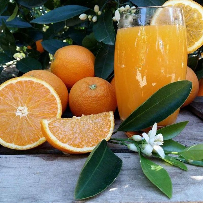 Naranjas zumo mediano 17 kg: Productos de Naranjas Julián
