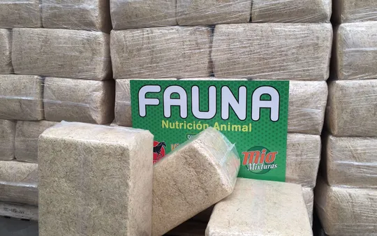 Imagen 3 de la galería