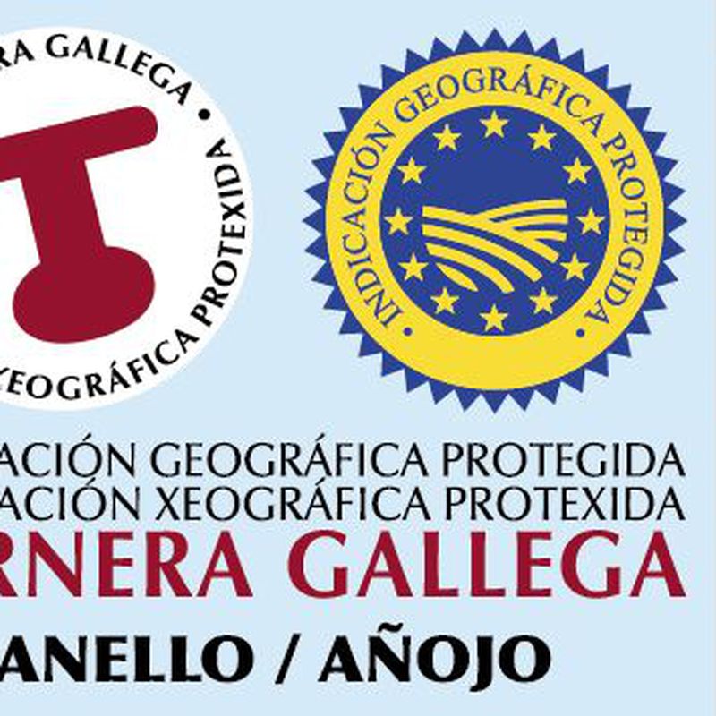 Ternera gallega añojo: Nuestras etiquetas de Ternera Gallega