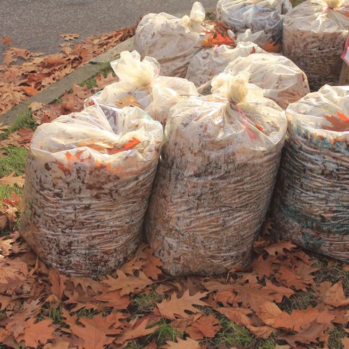 Bolsas para recogida de hojas en Madrid