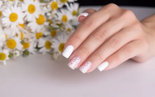 Imagen 2 de la galería