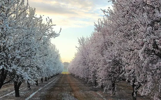 Imagen 6 de la galería