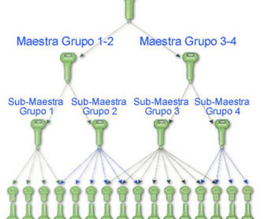 Amaestramiento cruzado