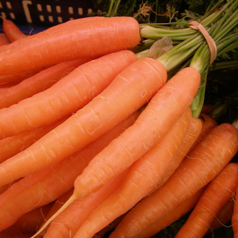 Zanahorias con su hoja
