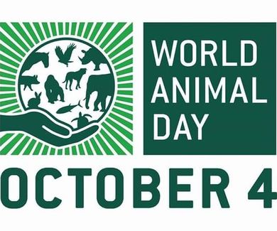 World animal day: 4th October