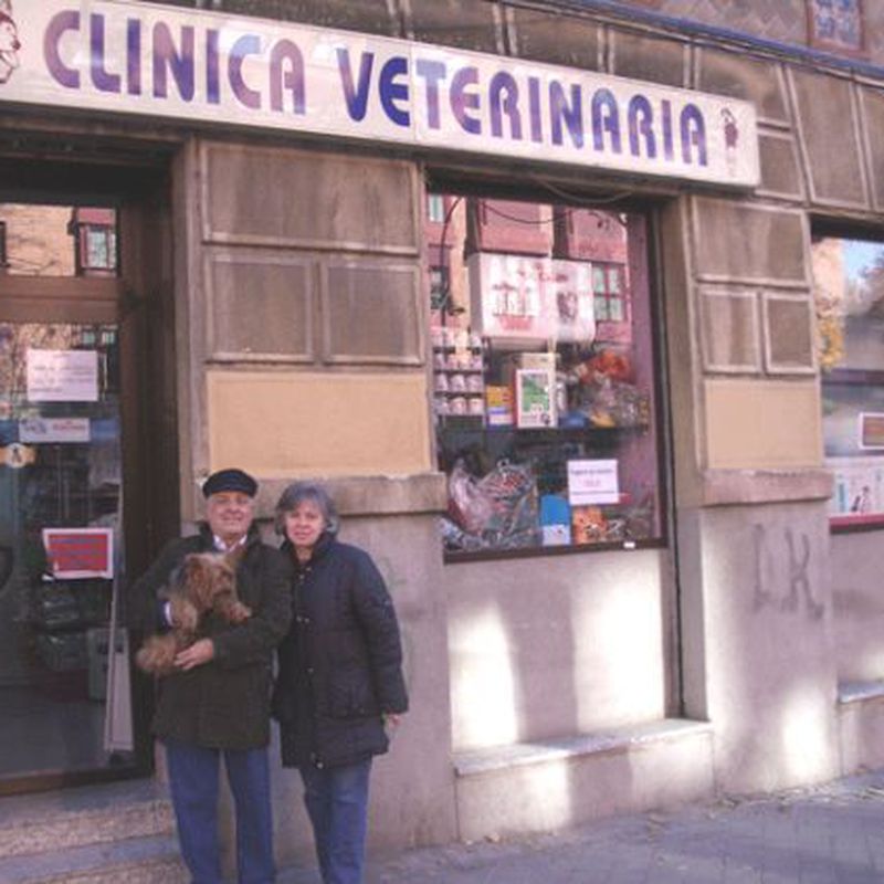 Igualas: Servicios de Clínica Veterinaria Pirámides