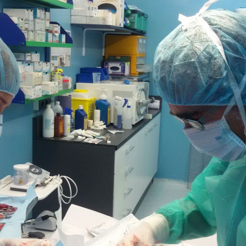 Cirugía: Servicios de Clínica Veterinaria Ricardo Díez Reyero
