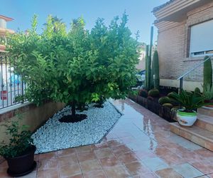 Jardinería y poda