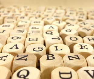 Logopedia
