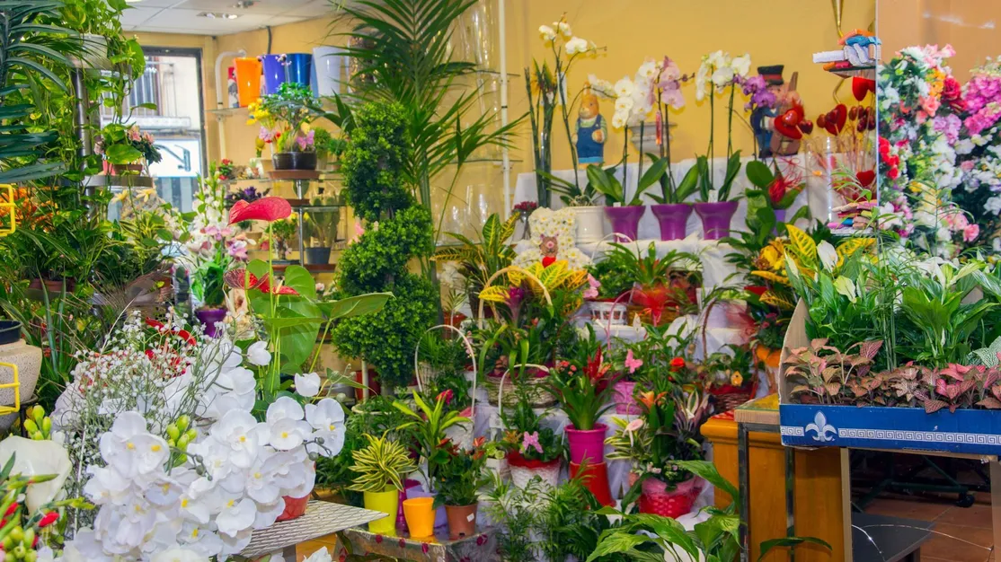 Floristería a domicilio en Jaén