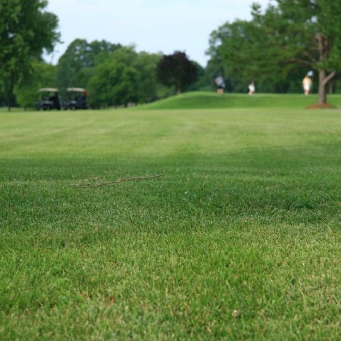 Beneficios del tratamiento de aguas para campos de golf
