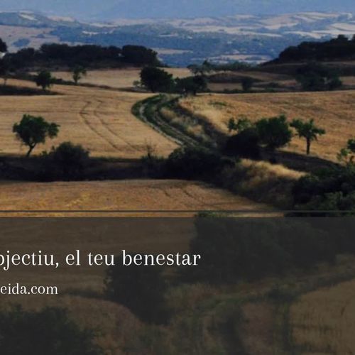 Terapia de parejas en Lleida | Mercè Audet Bordoll
