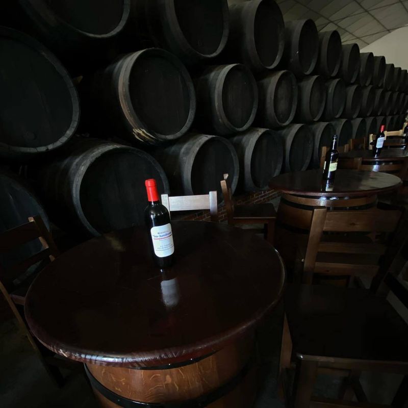 Cata de vinos: Productos de Bodegas Los Jumillanos