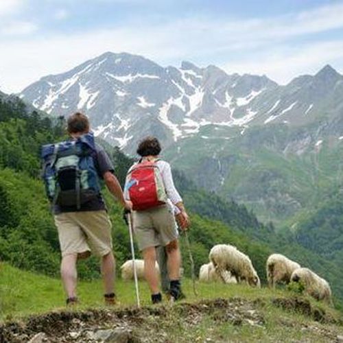 Entre las actividades que se pueden hacer está la visita los Picos de Europa