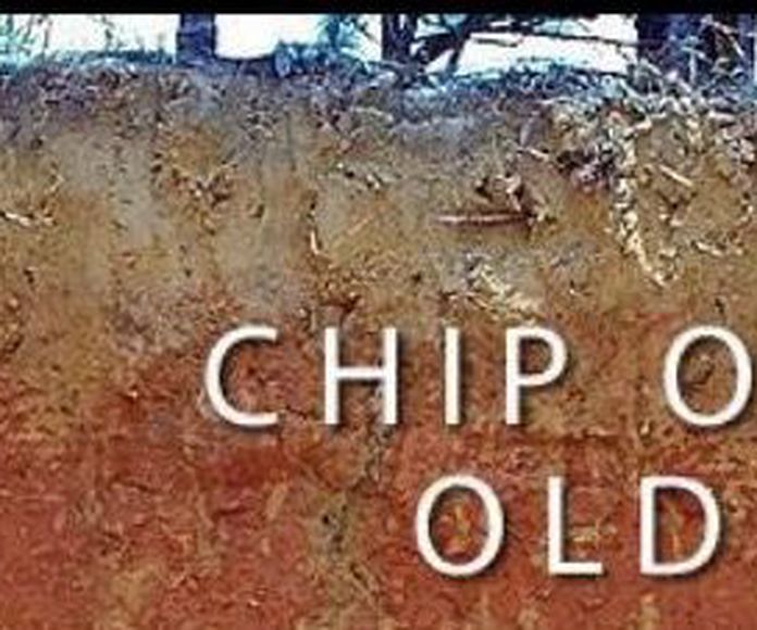 Chip off the old block }}